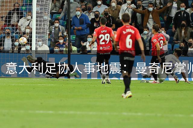 意大利足协人事地震：曼奇尼掌帅印 拉涅利出任技术总监