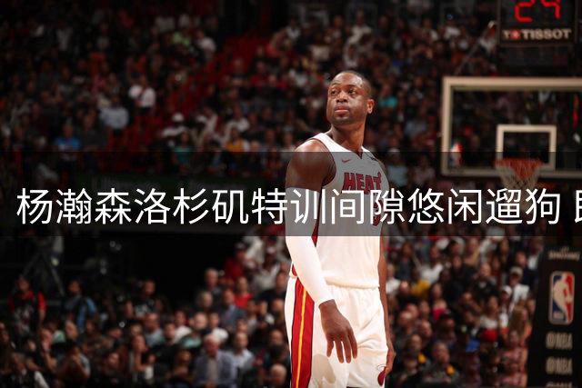 杨瀚森洛杉矶特训间隙悠闲遛狗 即将回国备战世预赛