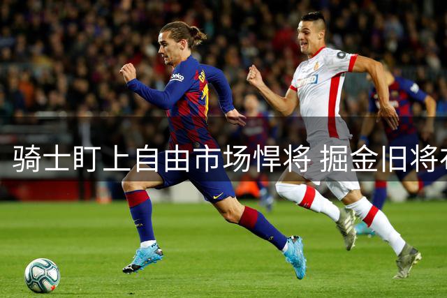 骑士盯上自由市场悍将 掘金旧将布鲁斯·布朗或成新目标